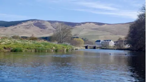 The River Tweed as it flows past Cardrona