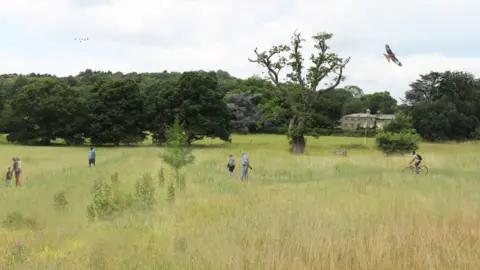 Derbyshire Wildlife Trust Allestree Park