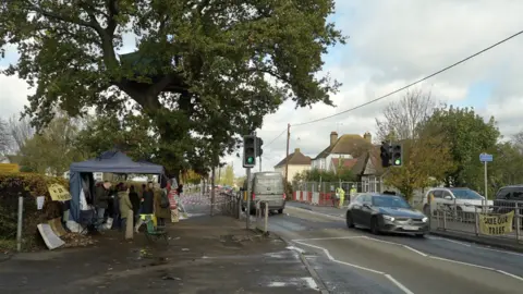 Jamie Niblock/BBC An oak tree in Ashingdon Road, Rochford, Essex, which is due to be cut down