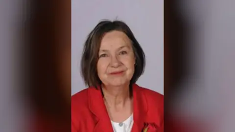 Cambridge City Council Ann Sinnott