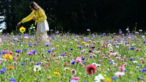 Pacemaker Woman in a field of flowers