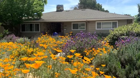 Metropolitan Water District An example of lawn transformation - after