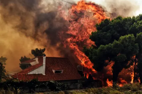 AFP Wildfire near Athens, 23 Jul 18