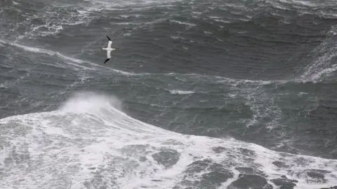 Ben Porter Hugan yn hedfan uwch y mor