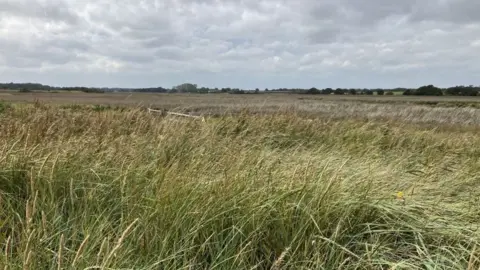 Land at Southwold