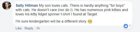 Sally Hillman Facebook screen grab from Sally Hillman, reading: "My son loves cats. There is hardly anything "for boys" with cats. He doesn't care (nor do I). He has numerous pink kitties and loves his kitty fidget spinner t-shirt I found at Target."
