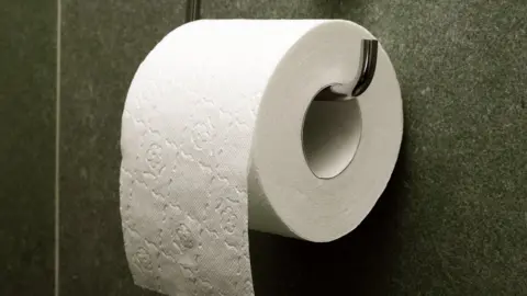 WIKIMEDIA/ELYA Toilet roll