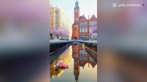 BBC Oozells Square blossom