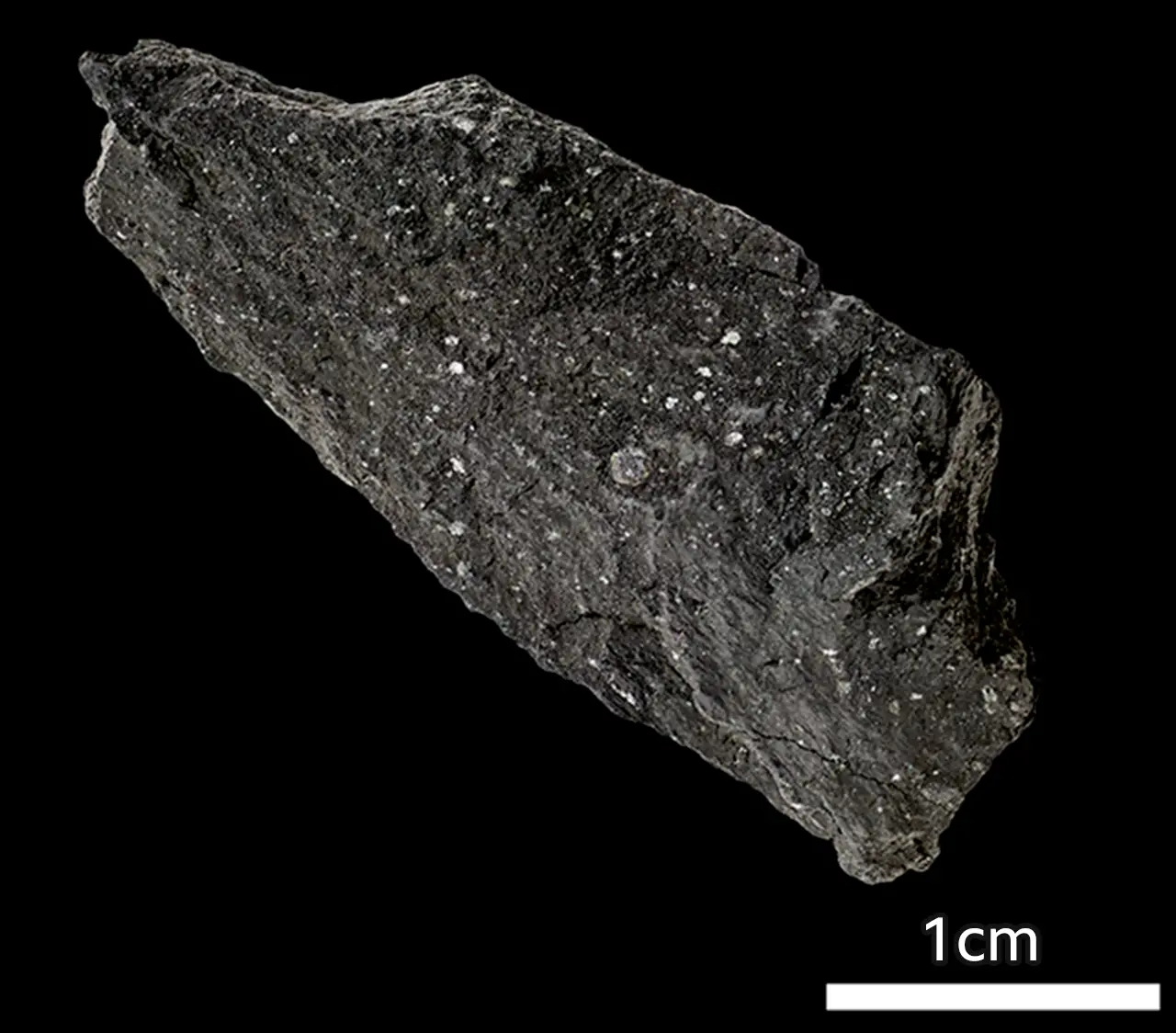 NHM Winchcombe meteorite