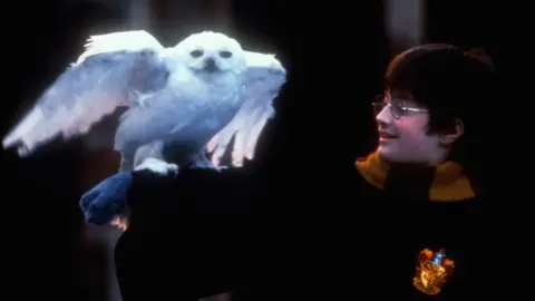 United Archive/Alamy Hedwig and Harry Potter
