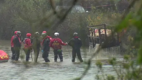 The sheep are brought to dry land