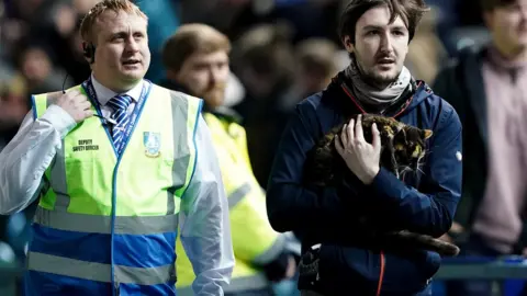 PA Media The cat being carried away