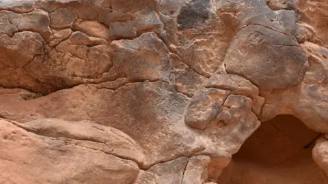 AFP A camel face carved into rocks in Saudi Arabia