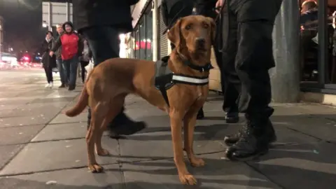 Police drugs dog Skye