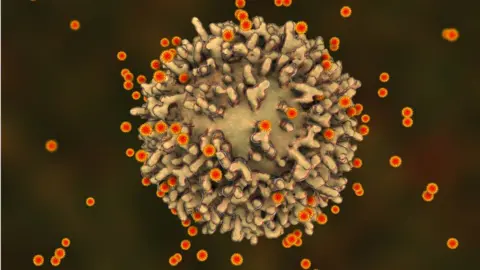 Getty Images SARS-CoV-2 virus