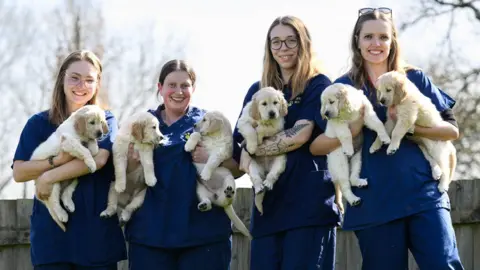 PA Media four women hold six puppies