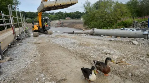 PA Media Whaley Bridge ducks