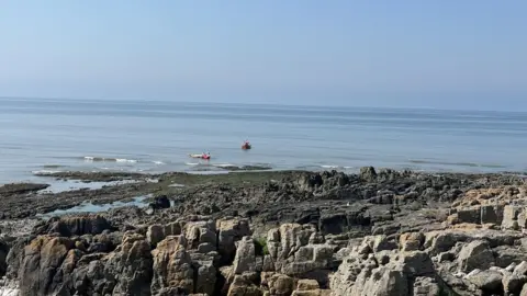 Lynne Davies Plane crashes into the sea