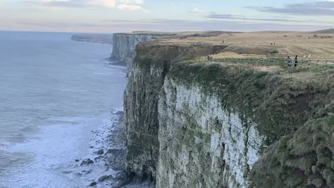 Pritti Mistry Bempton Cliffs