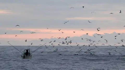 Tom Horton, University of Exeter A fishing boat in UK waters