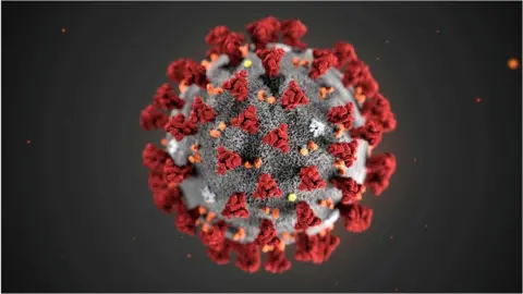 CDC HO via Reuters A coronavirus illustration.