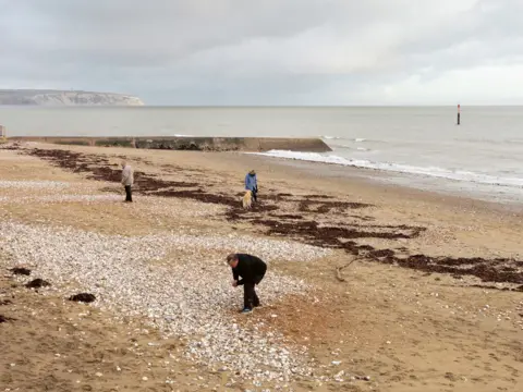 Dara McGrath People on the beach at Sandown Bay, Isle of Wight