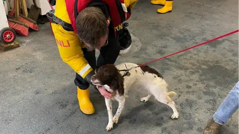 Dartmouth Coastguard A photo of Bella