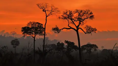 Getty Images Sunset in the Amazon region