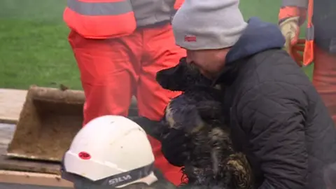 Spencer the cocker spaniel is rescued