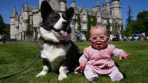 Joy Stephen, 6 months, with her corgi Marvin on the front lawn at Balmoral during an event with the Corgi Society of Scotland to mark Queen Elizabeth II's Platinum Jubilee. The castle in Aberdeenshire is the 19th Century holiday home where the Queen and members of the Royal Family spend their traditional holidays between August and September each year.