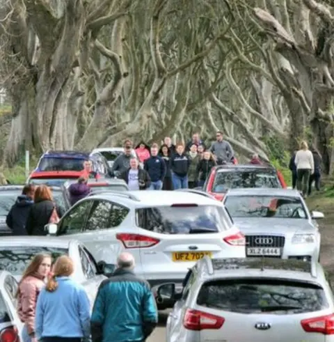 @nigreenways Tweet: Closing the Dark Hedges to vehicle traffic - how soon is now? A national disgrace slowly killing a national treasure. @CausewayCouncil