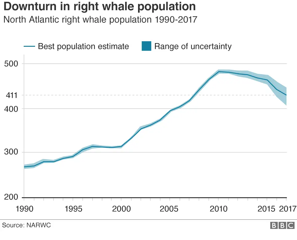 BBC Graph showing right whale population estimates from 1990 to 2018