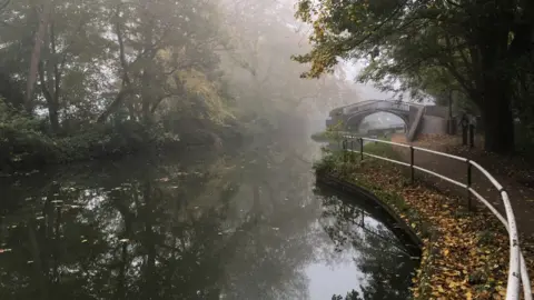 Maggie Whitlum The Oxford Canal
