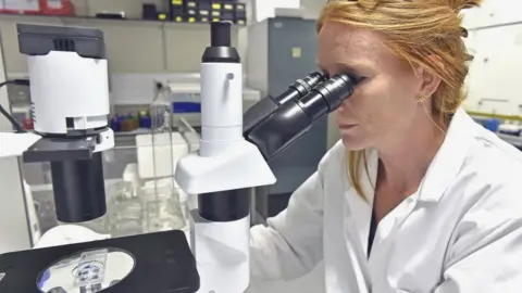 Innovate UK A research scientist in a laboratory