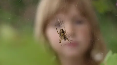 Getty Images A child looking at a spiderweb (stock image)