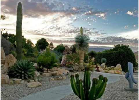 Richard Duebel cactus