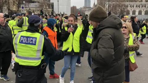 PA Pro-Brexit protesters at Westminster