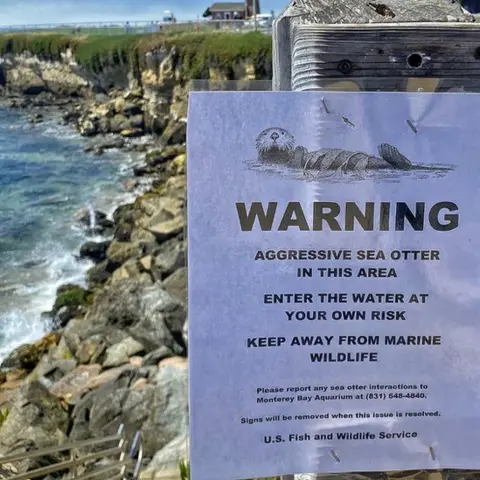 Mark Woodward/Native Santa Cruz Sign warning swimmers of Otter 841