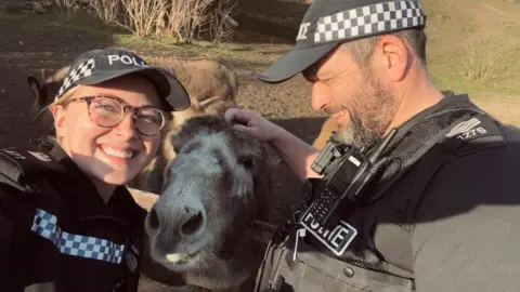 Police and Donkeys