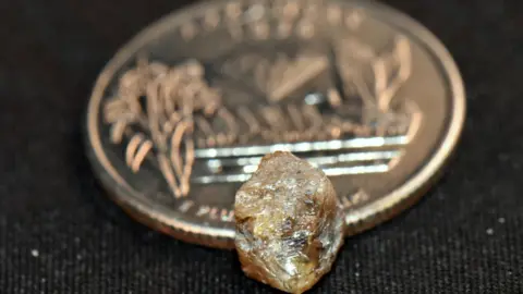 Crater of Diamonds State Park The diamond next to a coin for scale