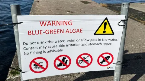 BBC Signs around Lough Neagh saying: Do not drink the water, swim or allow pets in the water. Contact may cause skin irritation and stomach upset