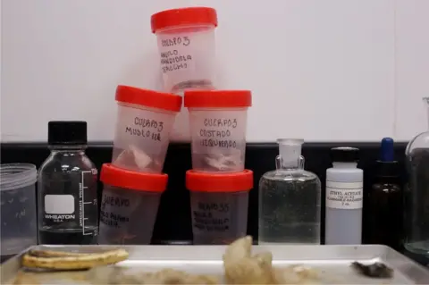 Alicia Fernandez Labelled containers with human remains in the lab of Dr Hernández