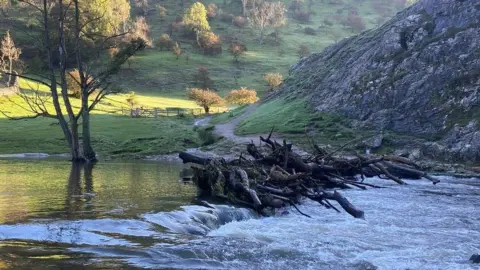 National Trust Debris on the stepping stones on 22 October, shortly after Storm Babet