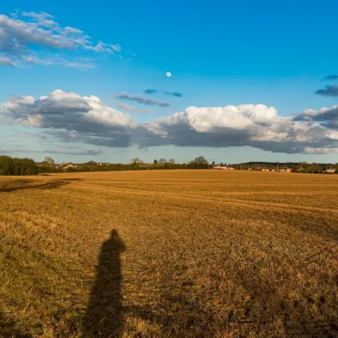 Richard Hughes Shadow in a field
