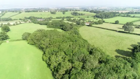 Woodland Trust Land to be restored