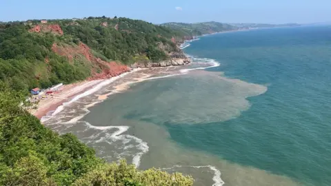 Oddicombe coast, Torbay