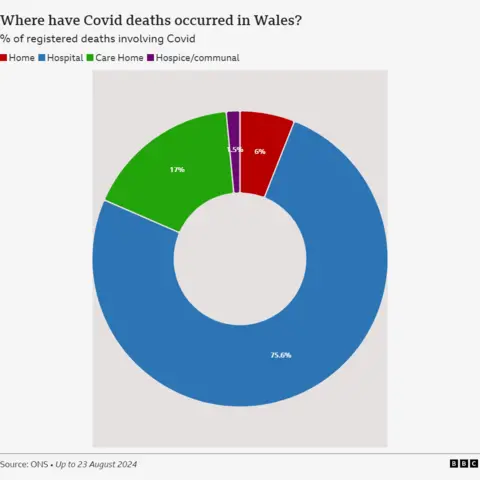 Pie chart showing where Covid deaths occurred