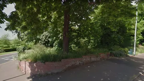 Google Clapham Woods