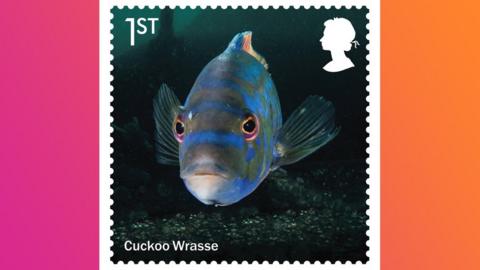 Royal Mail: New stamp collection to highlight marine life - CBBC Newsround