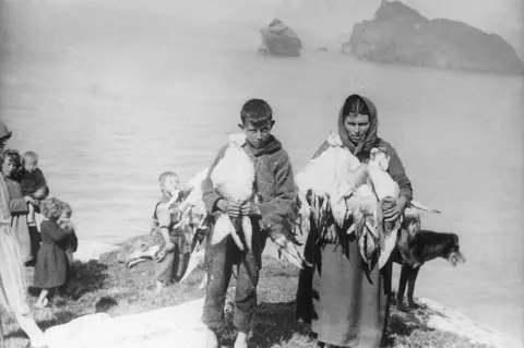 NAtional Trust for Scotland Anne and Finlay are helping with the fulmar